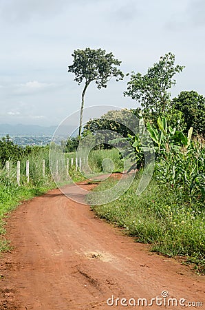 Rural dirt road and green meadow in rural villages