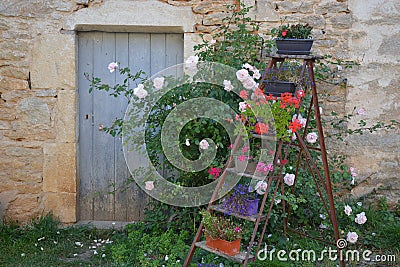Rural House With Flower Ladder