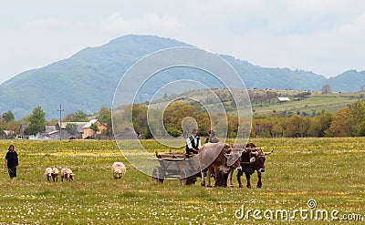 Rural life in Vrancea mountains village,Romania,