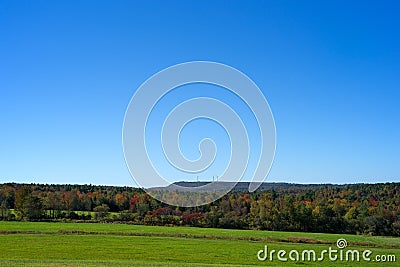 Rural Maine field with trees and distant windmills