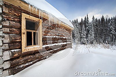 Russia log house in winter, with fir trees