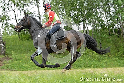 Russian rider and horse on a cross country jump
