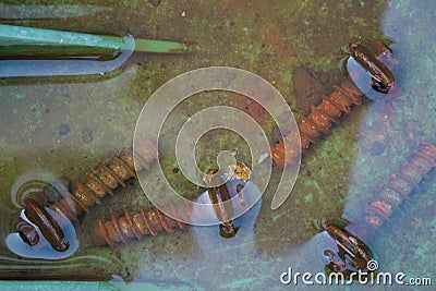 Rust bolt under water