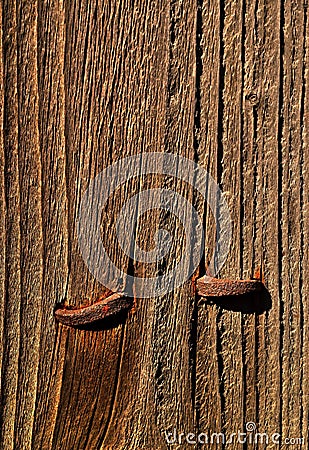 Rusty nails in wood
