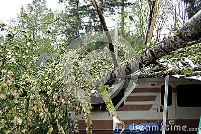 Rv damaged by falling tree