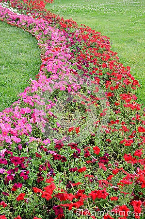 Picture Flower Beds on Shaped Flower Bed In Meadow Stock Photo   Image  15090810