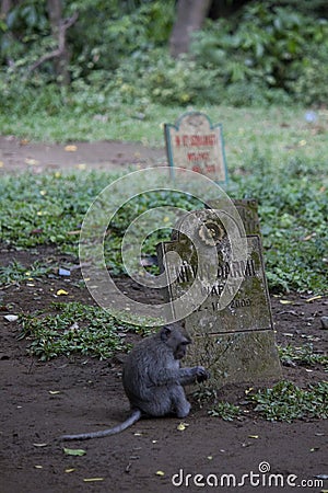 Sacred Monkey Forest, Ubud, Cemetery