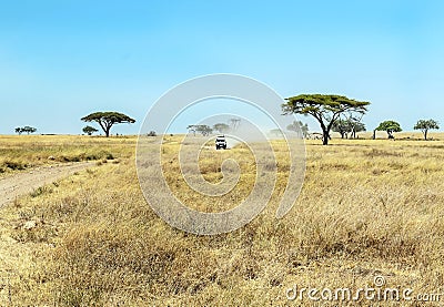 Safari car in tanzania