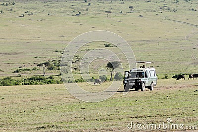 Safari game drive at Masai Mara