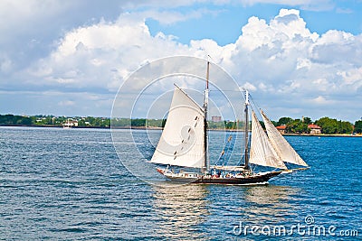 Sailing boat is crusing in the Bay