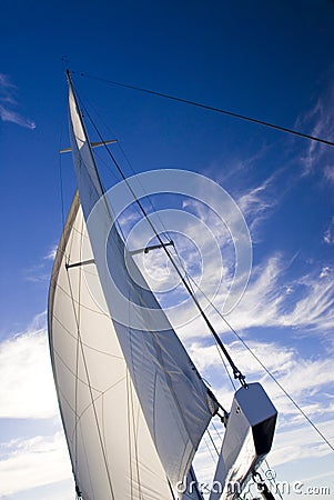 Sails In the Wind