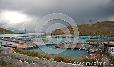 Salmon Farm in New Zealand