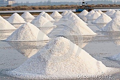 salt-fields-26941186.jpg
