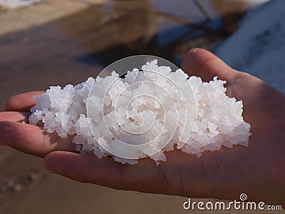 Salt Pans in Trapani