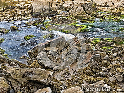 Salt Stream Salt Stream