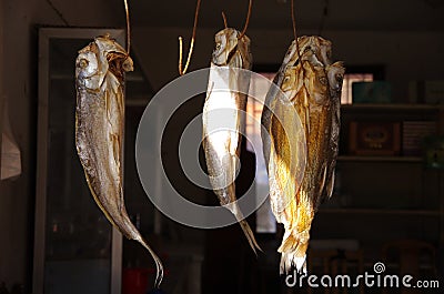 Salted fish Dried fish