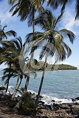 The salvation islands, french Guyana