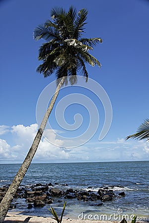 The salvation islands, french Guyana