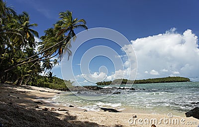 The salvation islands, french Guyana