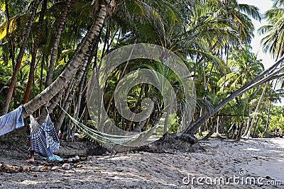 The salvation islands, french Guyana