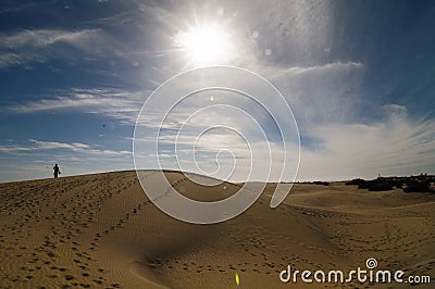 Sand Dune Desert Texture