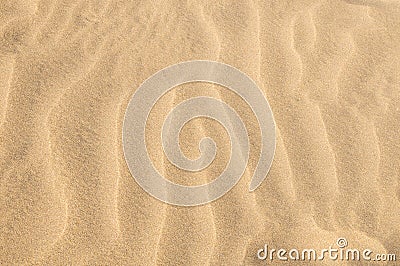 Sand Dune Desert Texture