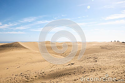 Sand Dune Desert Texture