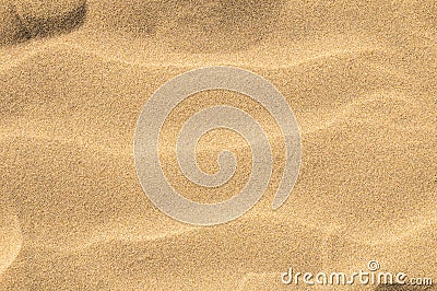 Sand Dune Desert Texture