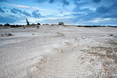 Sand dunes in Netherlands