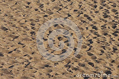 Sand foot prints