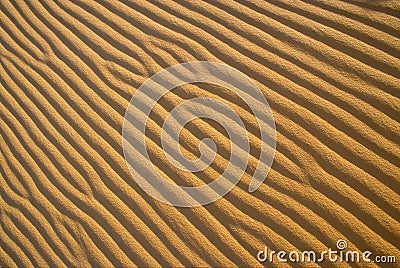 Sand Ripple Patterns