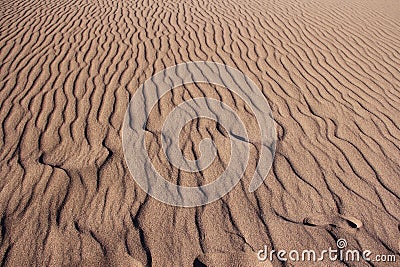 Sand Ripple and Shadow Patterns