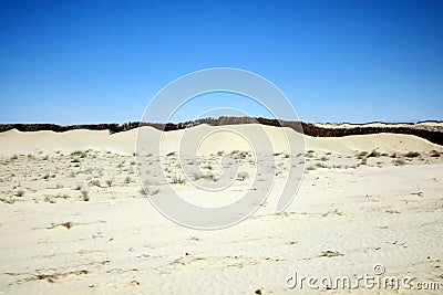 Sand wall in Sahara