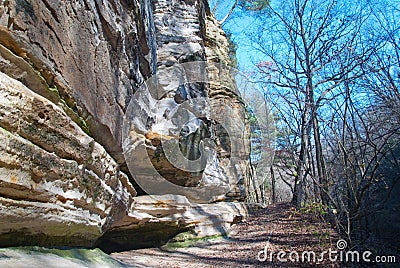 Sandstone Cliffs in Starved Rock Park