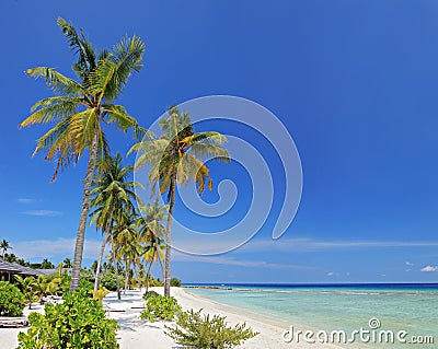 A sandy beach in Maldives island