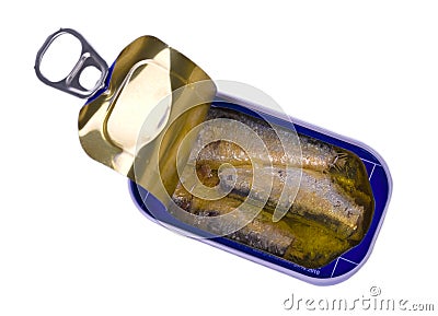 Sardine can