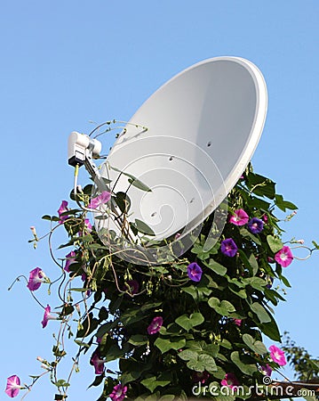 Satellite antenna with flowers