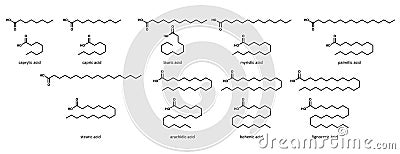 Saturated fatty acids (set): caprylic, acid, capri