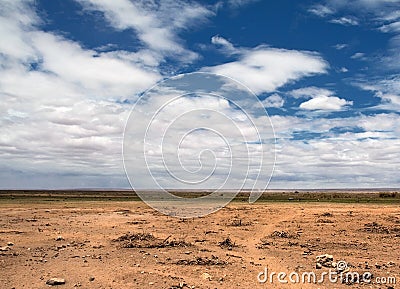 Savanna Landscape