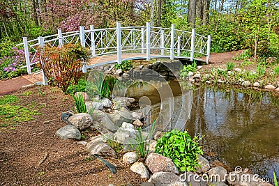 Sayen Park Botanical Garden Ornamental Foot Bridge