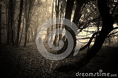 Scary man walking in a dark forest with fog