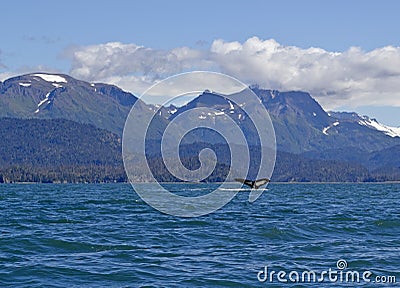 Scenic Alaskan view with a humpback whale tail