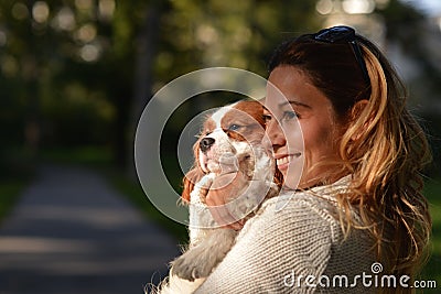 ... Ihrem Hundunbekümmerten König Charles Spaniel Stockfoto - Bild: 54225106