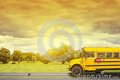 School Bus