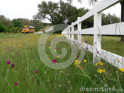 School Bus on Rural Texas Road