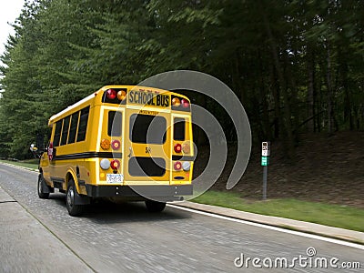 School bus traveling on road