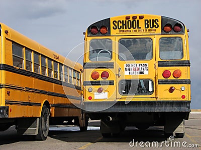 School Buses - back end