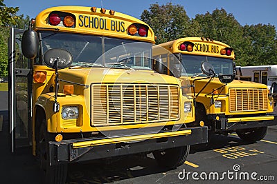 School buses