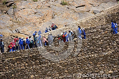School kids in blue climbing agricultural terraces