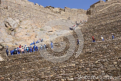 School kids in blue climbing agricultural terraces
